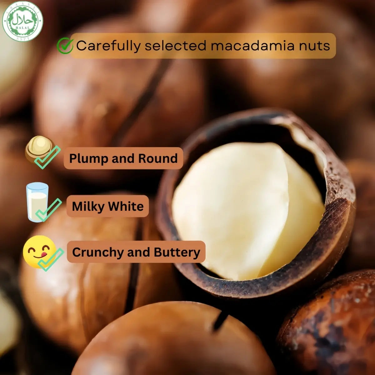 Set Makanan Ringan Cina Halal, Kacang Macadamia Australia 200G-AAA dengan Kulit Terbuka Gratis dan Key Vegan Friendly - Siap Stock Food Snack Nuts