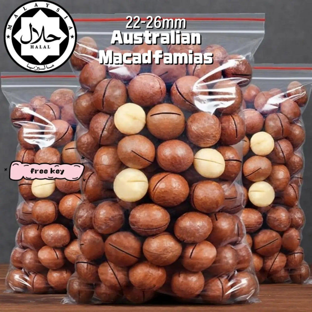 Set Makanan Ringan Cina Halal, Kacang Macadamia Australia 200G-AAA dengan Kulit Terbuka Gratis dan Key Vegan Friendly - Siap Stock Food Snack Nuts